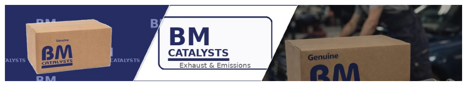 BM Catalysts